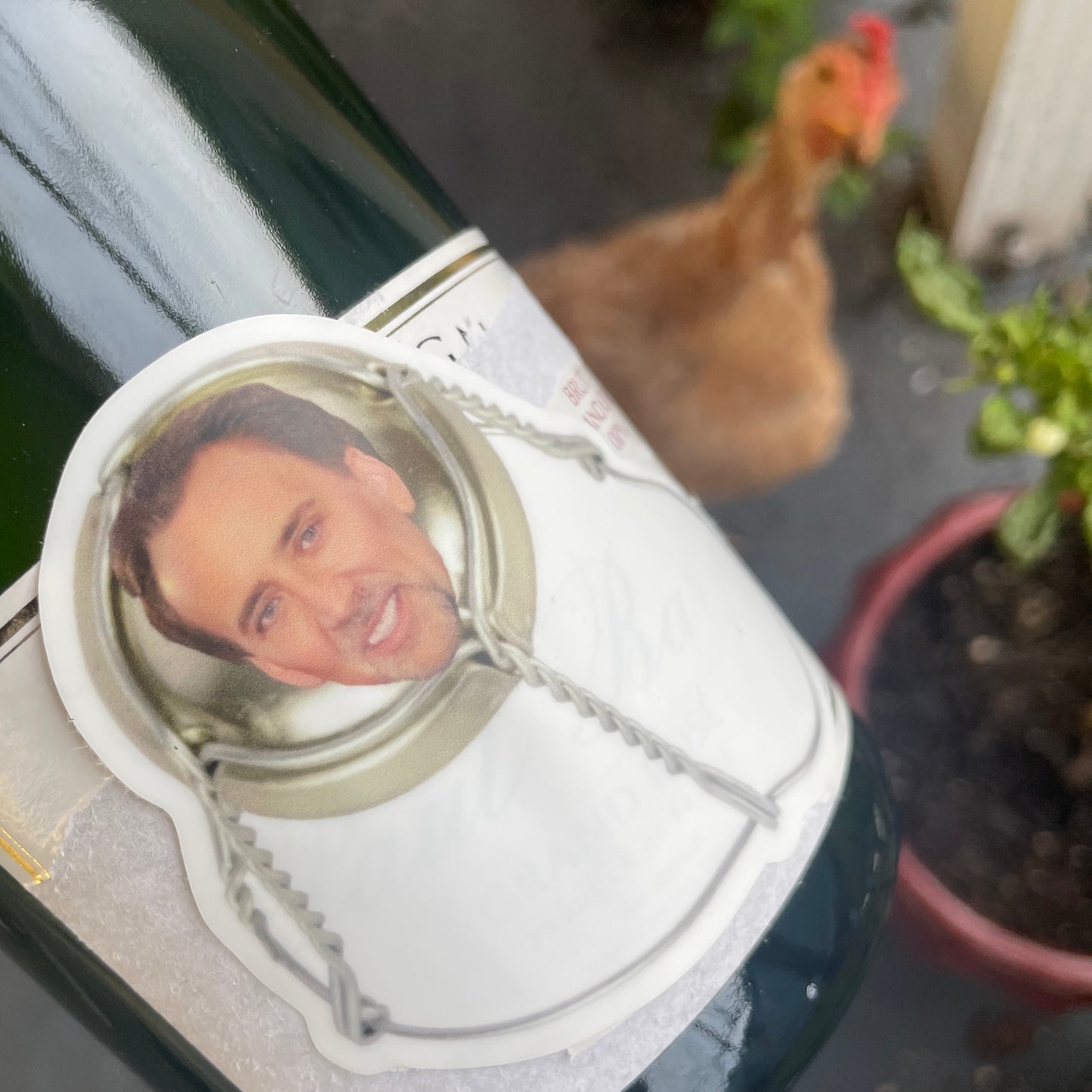 Cage Sticker