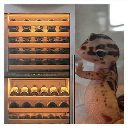 Wine Fridge Gecko Sticker