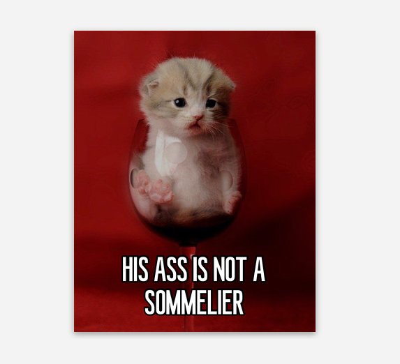 Not a Sommelier Cat Magnet 